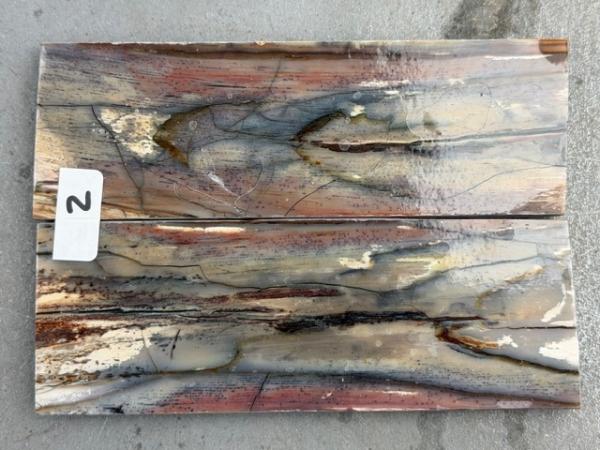 Stabilisiertes Mammutelfenbein - 7